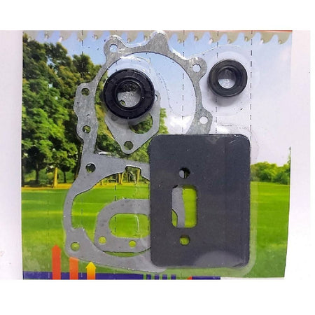 Kit Guarnizioni Paraoli Decespugliatore Tagliaerba Mitsubishi 43 52cc Vigor 231