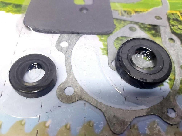 Kit Guarnizioni Paraoli Decespugliatore Tagliaerba Mitsubishi 43 52cc Vigor 231