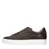 Doucal's Sneakers Marrone da uomo