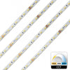 Striscia 980led 62w Cct Da 3000k A 6500k 24v Impermeabile Dimmerabile Bobina 5mt
