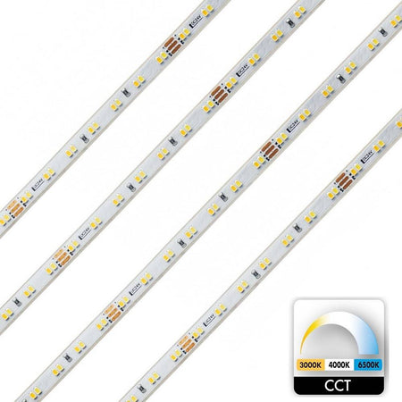 Striscia 980led 62w Cct Da 3000k A 6500k 24v Impermeabile Dimmerabile Bobina 5mt