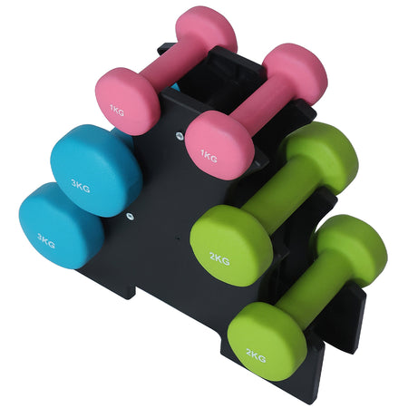 Set Manubri Palestra 6 Pesi Fitness 1kg 2kg 3kg con Supporto Stand Antirumore