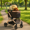 Passeggino Carrozzina 2in1 per Cani Gatti Trasportino Removibile Pieghevole 50kg