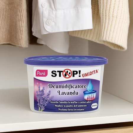 6pz Deumidificatore Casa Portatile 500ml contro Muffa Assorbi Umidità Lavanda