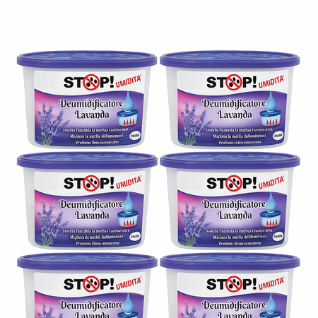 6pz Deumidificatore Casa Portatile 500ml contro Muffa Assorbi Umidità Lavanda