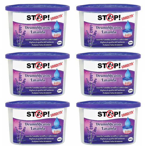 6pz Deumidificatore Casa Portatile 500ml contro Muffa Assorbi Umidità Lavanda