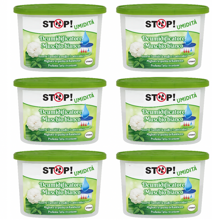6pz Deumidificatore Casa Portatile 500ml contro Muffa Assorbi Umidità Muschio Bianco