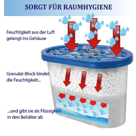 6pz Deumidificatore Casa Portatile 500ml contro Muffa Assorbi Umidità Sandalo