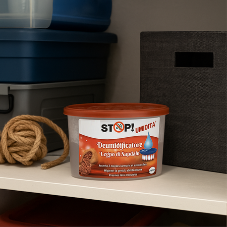 6pz Deumidificatore Casa Portatile 500ml contro Muffa Assorbi Umidità Sandalo