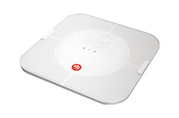 Pic bilancia bodystation