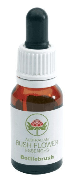 Bottlebrush australian15ml gtt