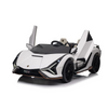 Lamborghini Sian 24V Toys Group