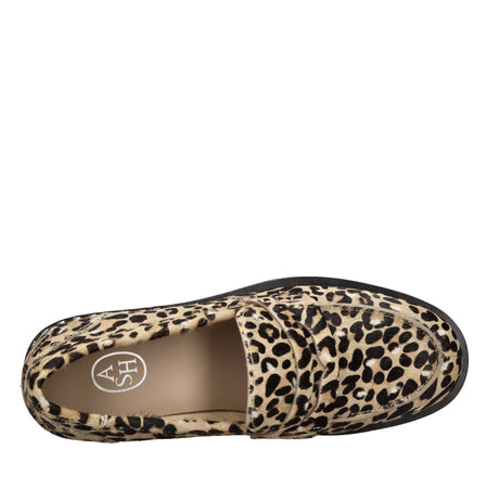 ASH Scarpe basse Marrone da donna