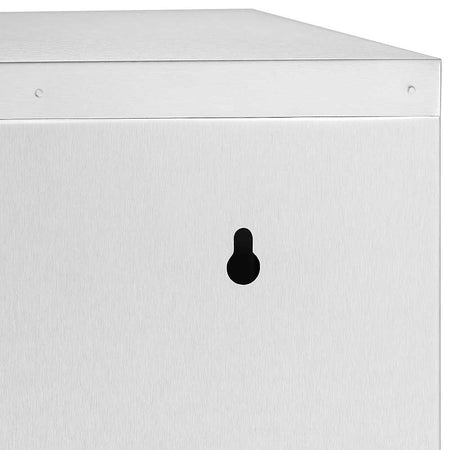 Armadietto Porta Medicinali Acciaio Inox e Vetro Satinato 50x30x18 cm con Chiave