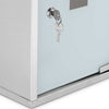 Armadietto Porta Medicinali Acciaio Inox e Vetro Satinato 49x25x12 cm con Chiave