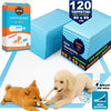 120 x Traversine per Cani tappetini igienici con adesivi Super assorbenti 60x60 cm