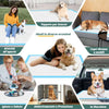 120 x Traversine per Cani tappetini igienici con adesivi Super assorbenti 60x60 cm