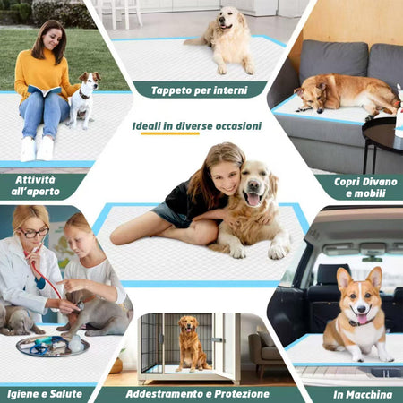 120 x Traversine per Cani tappetini igienici con adesivi Super assorbenti 60x60 cm