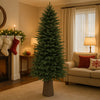 Albero di Natale Royal 180 cm Slim Base Troco Realistica 1385 Punte Foltissimo