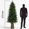 Albero di Natale Royal 210 cm Slim Base Troco Realistica 1861 Punte Foltissimo