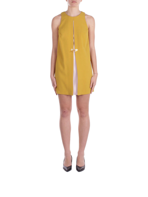 Elisabetta Franchi Abiti Curry da donna