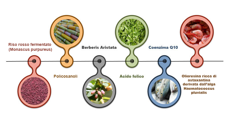 Armolipid plus per regolare il colesterolo 60 compresse