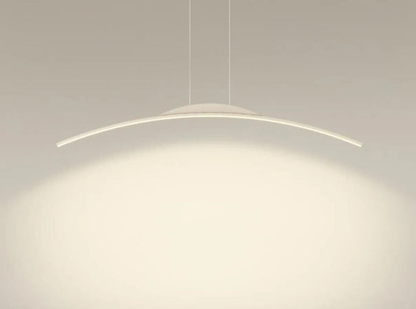 Lampadario Da Soffitto A Sospensione Led 16w Curvato Luce 3000k 6500k 4000k B68-b