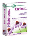 Echinacea