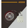 Strip Striscia Led 2835 Flessibile Dc 24v 10 Giochi Luce Ip20 5 Mt W2835-24-120