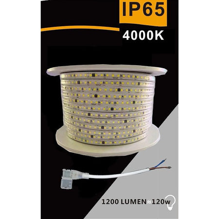 Striscia Led 3535 220v 12w/mt 120led/mt 100 Mt 8mm Vari Colori Di Luce 3535-120d