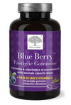 Blue berry 60past gommose