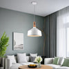 Lampadario A Sospensione Stile Industriale In Metallo Pendente A Coppa E27 A93