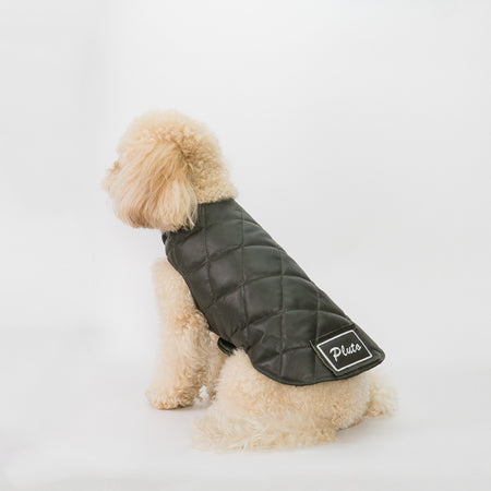 Bau - Giacca per cani