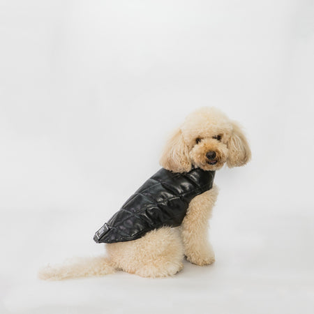 Bau - Giacca per cani