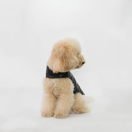 Bau - Giacca per cani