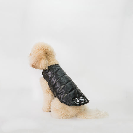 Bau - Giacca per cani