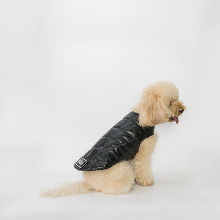 Bau - Giacca per cani