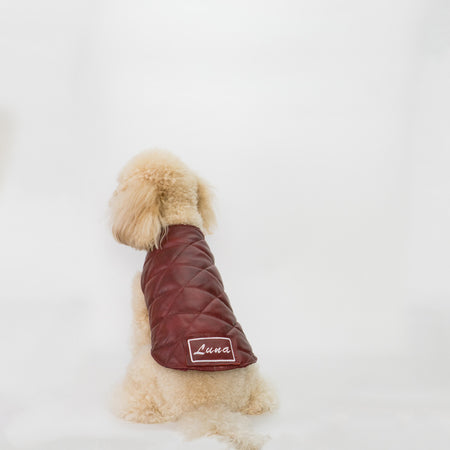Bau - Giacca per cani