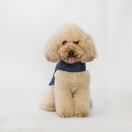 Bau - Giacca per cani