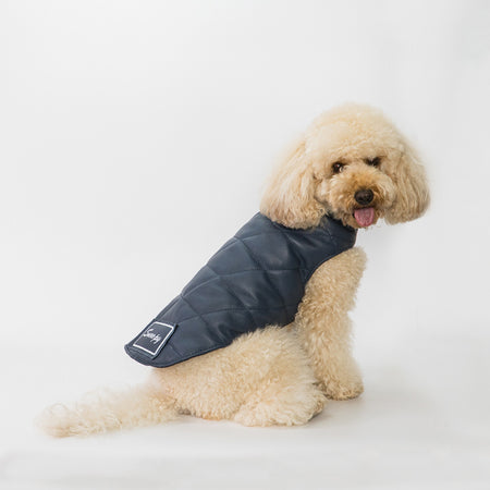 Bau - Giacca per cani