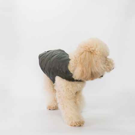 Bau - Giacca per cani
