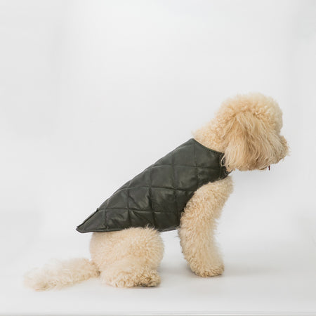 Bau - Giacca per cani
