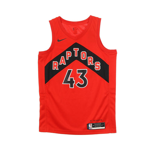 NIKE NBA Canotta Basket Uomo Nba Swingman Jersey Icon Edition 2020 No 43 Pascal Siakam Torrap University Red da uomo