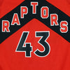 NIKE NBA Canotta Basket Uomo Nba Swingman Jersey Icon Edition 2020 No 43 Pascal Siakam Torrap University Red da uomo