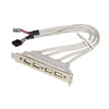 PIASTRINA LINK CON 4 CONNETTORI USB 2.0 TIPO A ESTERNI - CONNETTORE ALLA PIASTRA MADRE 2X10 PIN 2,54 MM