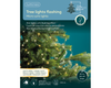 Catena luminosa per albero di Natale con MicroLED, luce calda