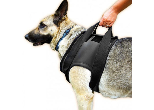 Imbracatura per cani per zampe anteriori