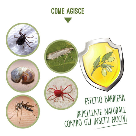 Olio di neem antiparassitario repellente biologico
