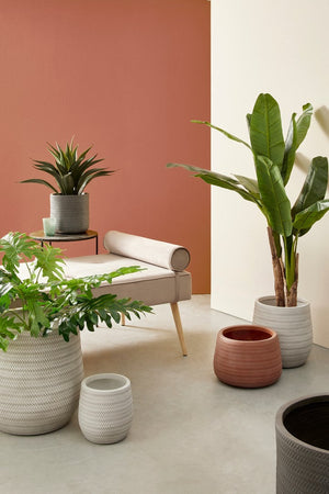 Vasi "Tressage" in fibra di vetro e argilla terracotta per fiori e piante da esterno set da 3