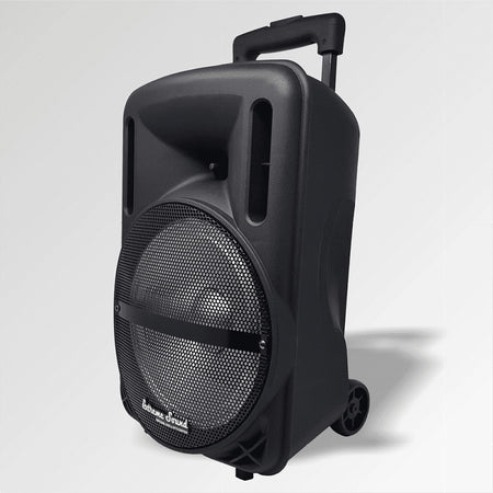 Cassa Audio A Batteria Ricaricabile Trolley Woofer 10" Usb Extreme Sound Move 10